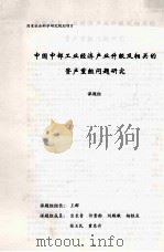 中国中部工业经济产业升级及相关的资产重组问题研究（ PDF版）
