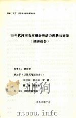 90年代河南农村剩余劳动力现状与对策调研报告 1998 PDF电子版封面 曹明贵主持