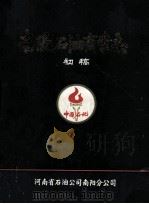 南阳石油商业志（ PDF版）