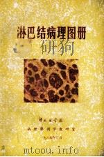 淋巴结病理图册 1984 PDF电子版封面 湖北医学院病理解剖学教研室编