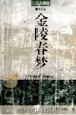 金陵春梦 第7册 三大战役 1994 PDF电子版封面 7200022071 唐人著