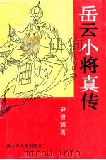 岳云小将真传 1990 PDF电子版封面 7535805442 尹世霖著