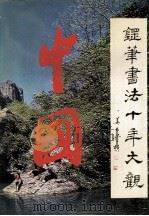 中国钢笔书法十年大观 1994 PDF电子版封面 780094123X 王正良主编