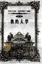 世界文学名著世界经典影片 特藏版 我的大学 第2辑 1999 PDF电子版封面 7800842363 (苏)高尔基著;王宏容译