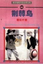荆棘鸟  精彩片断   1995  PDF电子版封面  7810303821  刘健书 