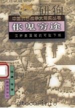 伥鬼穷途 1995 PDF电子版封面 7544007510 陈清等著