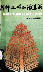 精神文明知识集成 1989 PDF电子版封面 7220007086 李克漧主编;白德明,赖干生,陈家元等编委