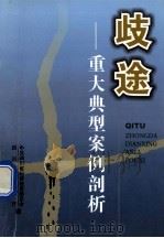 歧途  重大典型安全剖析（ PDF版）
