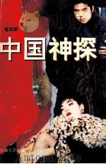 中国神探 1996 PDF电子版封面 7539609737 崔亚斌著