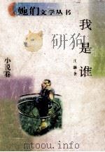 我是谁 1998 PDF电子版封面 7222023100 江灏著