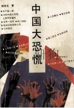 中国大恐慌 报告文学集 1994 PDF电子版封面 7805794324 陆幸生著