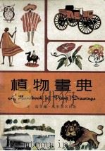 植物画典 1985 PDF电子版封面 9621401542 王端等编