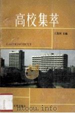 高校集萃 1989 PDF电子版封面 7305004898 王龙河主编
