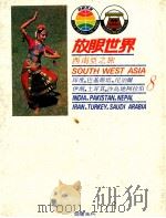 西南亚之旅 印度、巴基斯坦、尼泊尔、伊朗、土耳其、沙鸟地阿拉伯 1984 PDF电子版封面 许钟荣