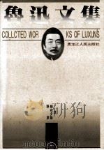 鲁迅文集 第2卷 野草 朝花夕拾 坟 1995 PDF电子版封面 7207032617 鲁讯著