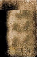 玉箫擎天 下 1998 PDF电子版封面 7227016617 (台湾)云中岳著