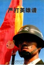 严打英雄谱（ PDF版）