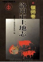 洛阳市土地志 偃师卷 1999 PDF电子版封面 7534817617 段志军主编;胡清铎,李朝宗,郭新升副主编;河南省偃师市土地规