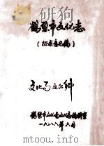 鹤壁市文化志 征求意见稿 1986 PDF电子版封面 鹤壁市文化局文化志编辑室编;王鹤金主编;杜绪章副主编