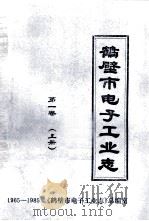 鹤壁市电子工业志 1965-1985 第1卷 上 1987 PDF电子版封面 鹤壁市电子工业局,《鹤壁市电子工业志》总编室编;段子鸿主编