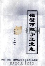 鹤壁市电子工业志 1965-1985 第1卷 下 1987 PDF电子版封面 鹤壁市电子工业局,《鹤壁市电子工业志》总编室编;段子鸿主编