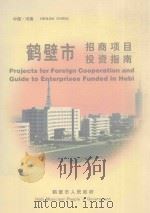 鹤壁市招商项目投资指南（ PDF版）