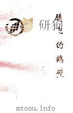 腾飞的鹤壁 1996 PDF电子版封面 鹤壁市统计局编