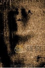 云中岳武侠小说精品系列 玉箫擎天 上 1998 PDF电子版封面 7227016617 (台湾)云中岳著