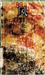 风波未平 1992 PDF电子版封面 7536318553 邢可著
