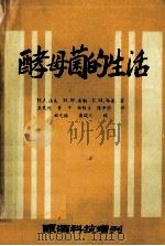 酵母菌的生活 修订增补第2版 1985 PDF电子版封面 (美)法夫(Phaff.H.J.)等著