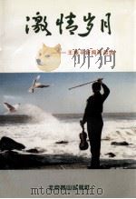 激情岁月 王振平新闻作品选 1999 PDF电子版封面 754020690X 王振平著