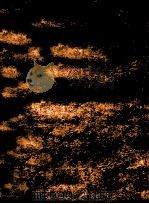 色彩写生指南 风景、人物 1991 PDF电子版封面 7539301569 英若识,吴东梁绘;李功君撰文
