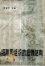 细胞和组织的超微结构 1984 PDF电子版封面 14048·4432 钟慈声主编