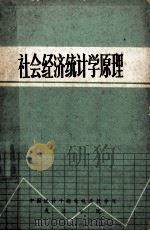 社会经济统计学原理（ PDF版）