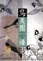 鸟类图谱 1999 PDF电子版封面 7810197134 樊宝珞,樊宝璇绘著