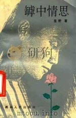 罅中情思   1993  PDF电子版封面  7221029156  旻野著 