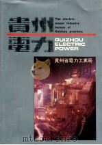 贵州电力（ PDF版）
