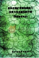 贵州省磷矿资源和磷化工发展方向及途径的予测（情报调研报告）（1987 PDF版）