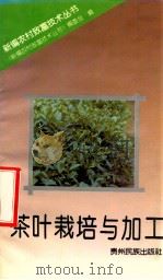 茶叶栽培与加工 1993 PDF电子版封面 7541203300 《新编农村致富技术丛书》编委会编