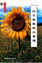 向日葵栽培与管理 1999 PDF电子版封面 7805849498 陈善芬,谭仁瑜编