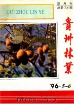 贵州林业  965-6（ PDF版）