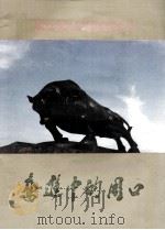 奋进中的周口（ PDF版）