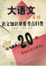大语文.小百科 语文知识重要考点归类 1998 PDF电子版封面 7562218234 齐传贤,王树华编著