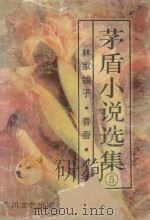 茅盾小说选集 第5卷 林家铺子.春蚕.过年 1994 PDF电子版封面 7541114375 茅盾著