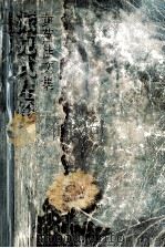 黄蓓佳文集 派克式左轮 1998 PDF电子版封面 7539912383 黄蓓佳著