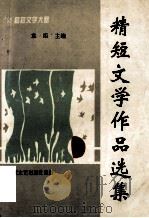精短文学作品选集   1996  PDF电子版封面  7530609076  袁炬主编 