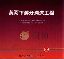 黄河系列画册  黄河下游分滞洪工程（ PDF版）