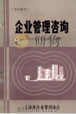 企业管理咨询（ PDF版）