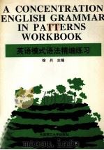 英语模式语法精编练习 1995 PDF电子版封面 7561110774 徐兵主编;于爱平,杨士杰,吴丽彦,宋雪冬,高萍,崔建京副主编