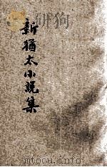 新犹太小说集 1925 PDF电子版封面 小说月报社编辑
